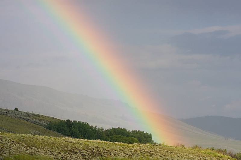 August 9, 2009 - Yellowstone National Park, Wyoming.<br />Lamar Valley.