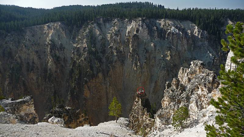 August 10, 2009 - Yellowstone National Park, Wyoming.<br />Revisiting the ospray nest below Grand View parking area.<br />The red circle marks the nest.