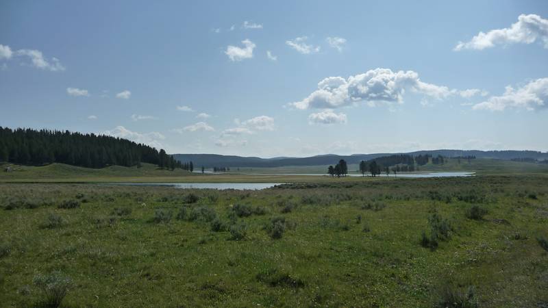 August 10, 2009 - Yellowstone National Park, Wyoming.<br />Yellowstone River between Canyon and Lake Villages.
