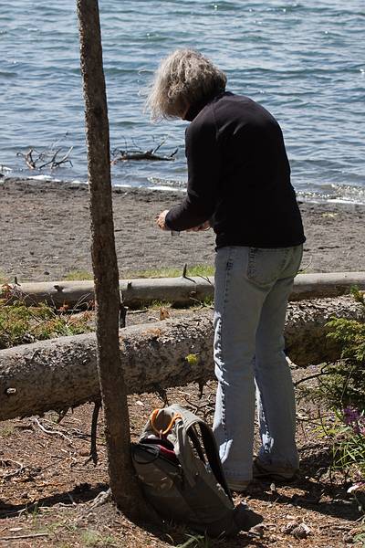 August 10, 2009 - Yellowstone National Park, Wyoming.<br />At a pull-out along Yellowstone Lake.<br />Joyce filming a log.