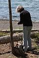 August 10, 2009 - Yellowstone National Park, Wyoming.<br />At a pull-out along Yellowstone Lake.<br />Joyce filming a log.