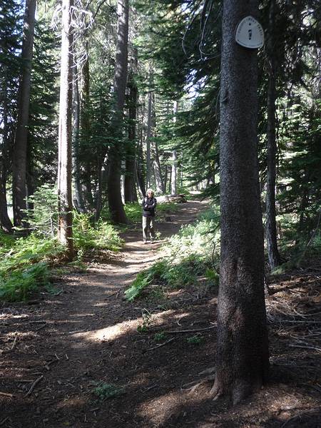 August 12, 2009 - Behind rest area off I-80 at Donner Pass, California.<br />Joyce on the Pacific Crest Trail.<br />Can we claim we hiked it (about a quarter of a mile)?