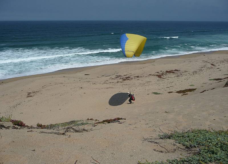 August 13, 2009 - Dunes State Park (on Monterey Bay), Sand City, California.<br />Melody attempting to take off, but the wind did not cooperate.