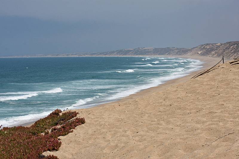 August 13, 2009 - Dunes State Park (on Monterey Bay), Sand City, California.