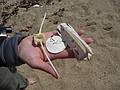 August 13, 2009 - Dunes State Park (on Monterey Bay), Sand City, California.<br />Found objects.