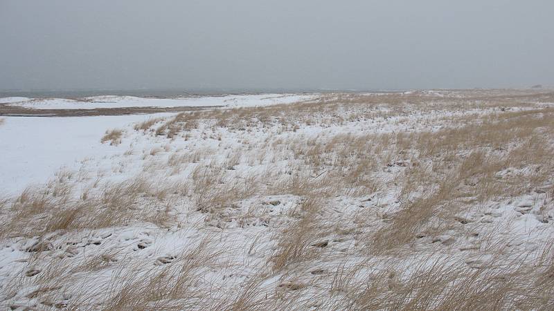 Jan. 2, 2010 - North end of Plum Island, Massachusetts.<br />A windy, cold, extra high tide day (the refuge was closed).<br />Joyce and I waded through the snow but soon we had enough of it.