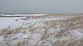 Jan. 2, 2010 - North end of Plum Island, Massachusetts.<br />A windy, cold, extra high tide day (the refuge was closed).<br />Joyce and I waded through the snow but soon we had enough of it.