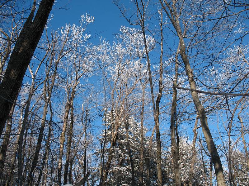 Jan. 9, 2010 - Pleasant Valley Wildlife Sanctuary, Lenox, Massachusetts.<br />Hike along Overbrook Trail to the fire tower atop Lenox Mountain.