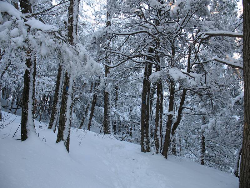 Jan. 9, 2010 - Pleasant Valley Wildlife Sanctuary, Lenox, Massachusetts.<br />Hike along Overbrook Trail to the fire tower atop Lenox Mountain.