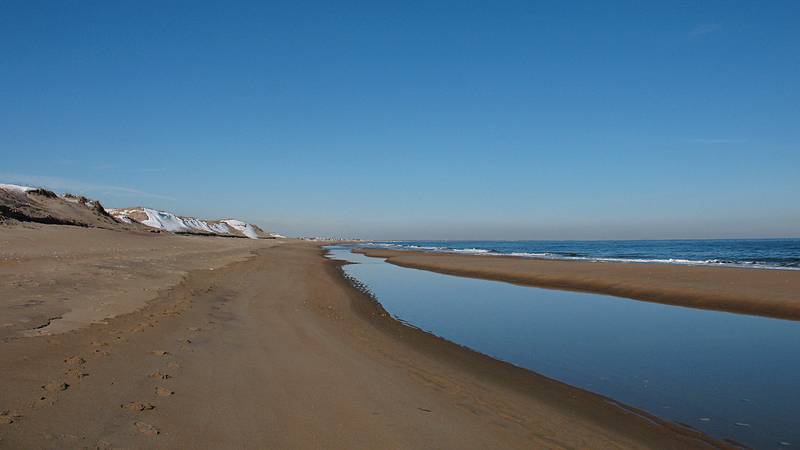 Jan. 14, 2010 - Parker River National Wildlife Refuge, Plum Island, Massachusetts.<br />Walking south of boardwalk to parking lot #3.