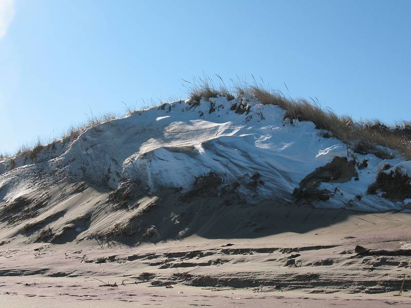 Jan. 14, 2010 - Parker River National Wildlife Refuge, Plum Island, Massachusetts.<br />Walking south of boardwalk to parking lot #3.