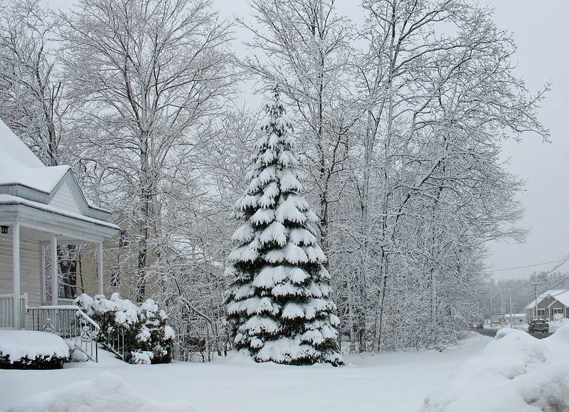 Jan. 19, 2010 - Merrimac, Massachusetts.<br />Along Route 110 on way to the Library to vote.