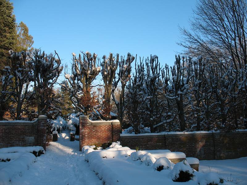 Jan. 23, 2010 - Maudslay State Park, Newburyport, Massachuetts.<br />A walk in the park with Joyce.