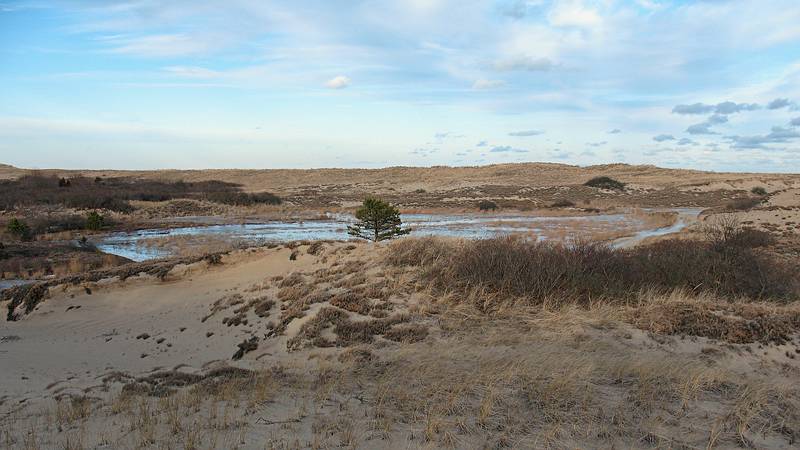 Feb. 6, 2010 - Parker River National Wildlife Refuge, Plum Island, Massachusetts.<br />View from parking lot #2 boardwalk.