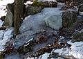 Feb. 7, 2010 - Greenfield/Francestown, New Hamphire.<br />Get Outdoors New Englancd Croched Mountain (2066 ft.) Hike.