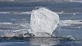 Feb. 12, 2010 - Deer Island, Amesbury, Massachusetts.<br />Ice sculpture on the Merrimack.