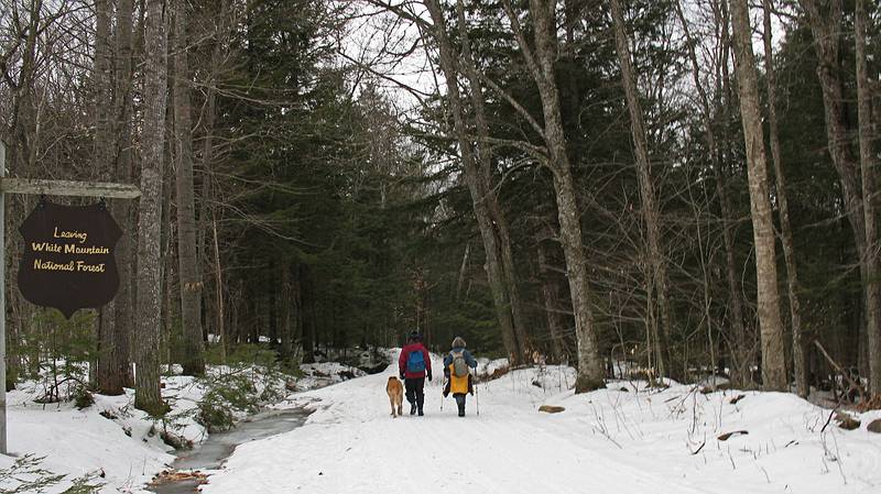 Feb. 14, 2010 - White Mountain National Forest in Campton/Thornton, New Hampshire.<br />Macky, Nancy, and Joyce waling along Sandwich Notch Road.