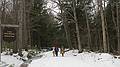 Feb. 14, 2010 - White Mountain National Forest in Campton/Thornton, New Hampshire.<br />Macky, Nancy, and Joyce waling along Sandwich Notch Road.