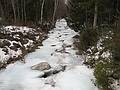 Feb. 14, 2010 - White Mountain National Forest in Campton/Thornton, New Hampshire.<br />Smarts Brook off Route 49.