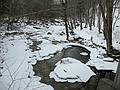 Feb. 15, 2010 - The Flume, Franconia Notch, New Hampshire.