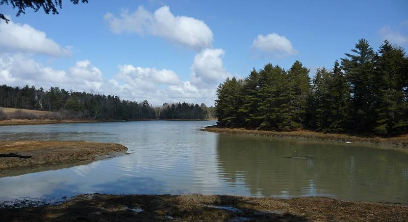 Views of Back Cove.<br />Feb. 26, 2010 - Hamilton Sanctuary, West Bath, Maine.