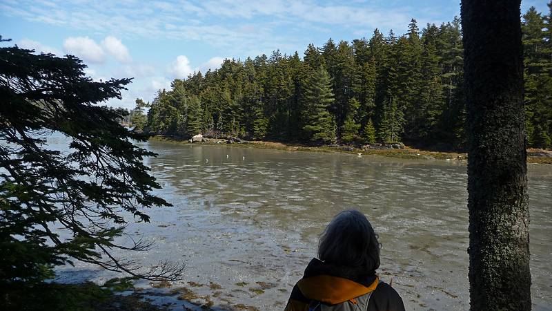 Joyce looking at some clam flats of Back Cove.<br />Feb. 26, 2010 - Hamilton Sanctuary, West Bath, Maine.