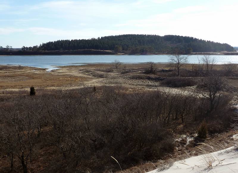 Choate (Hog) Island.<br />March 6, 2010 - Castle Neck Peninsula, Ipswich, Massachusetts.