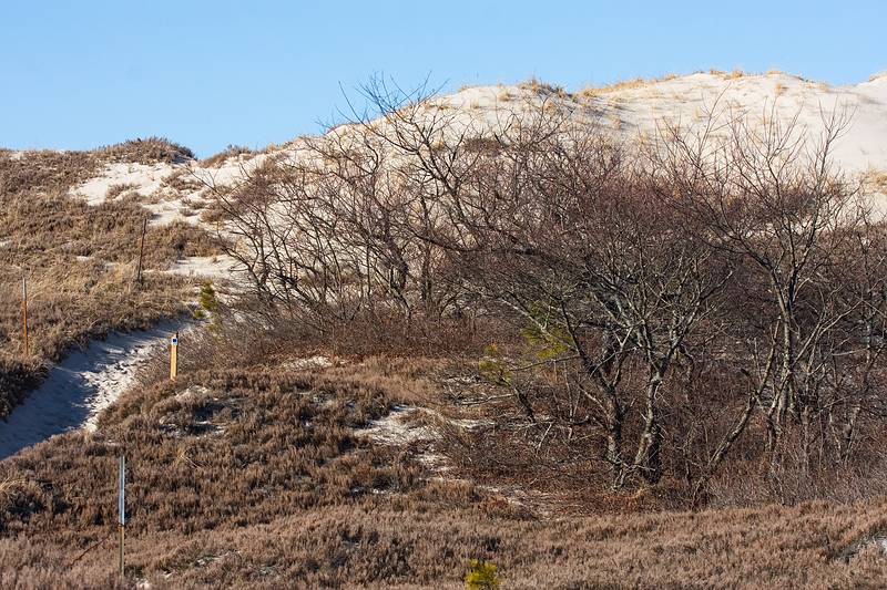 March 6, 2010 - Castle Neck Peninsula, Ipswich, Massachusetts.