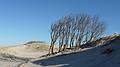 March 6, 2010 - Castle Neck Peninsula, Ipswich, Massachusetts.