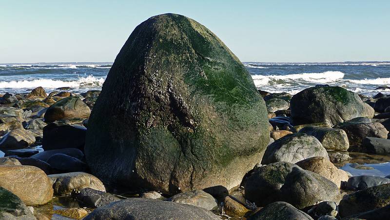 March 17, 2010 - Sandy Point State Reservation, Plum Island, Massachusetts.