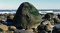 March 17, 2010 - Sandy Point State Reservation, Plum Island, Massachusetts.