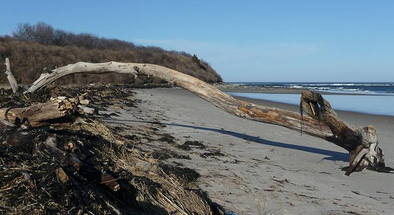 March 17, 2010 - Sandy Point State Reservation, Plum Island, Massachusetts.