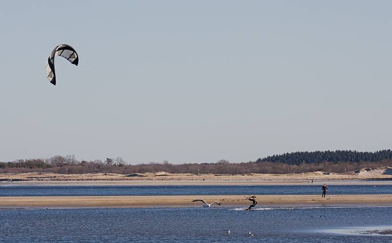 March 17, 2010 - Sandy Point State Reservation, Plum Island, Massachusetts.