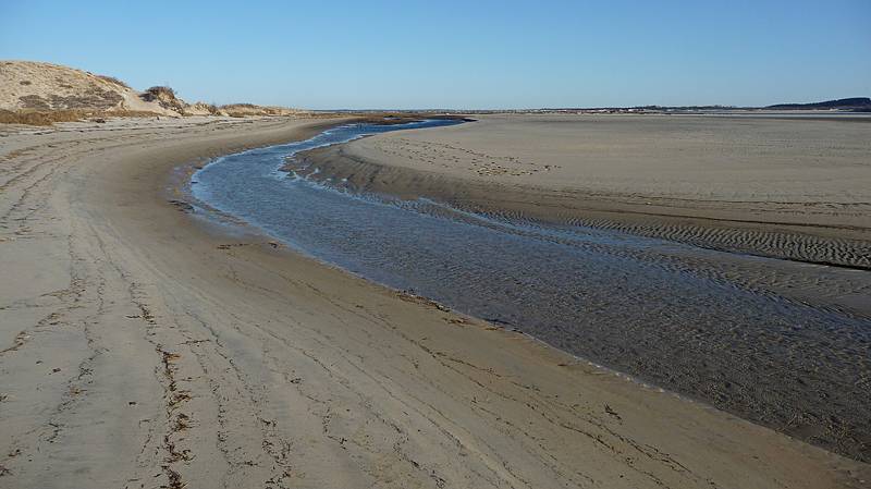 March 17, 2010 - Sandy Point State Reservation, Plum Island, Massachusetts.