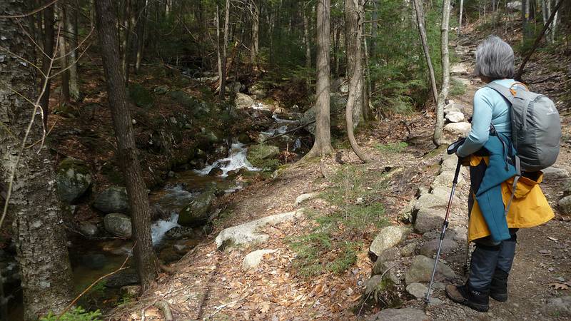 Joyce admiring a brook.<br />March 20, 2010 - Welch-Dickey Loop hike in the White Mountains, New Hampshire.