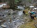 Joyce.<br />Walk along Chickenboro Creek.<br />March 21, 2010 - Campton, New Hampshire.