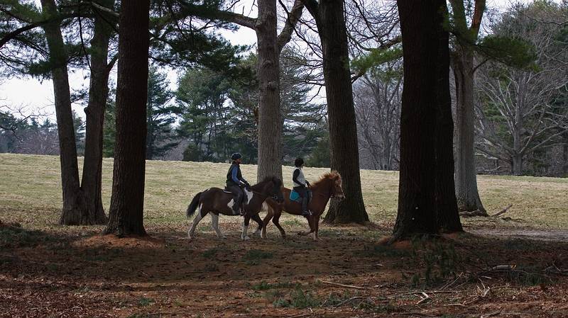 March 25, 2010 - Appleton Farms, Ipswich, Massachusetts.