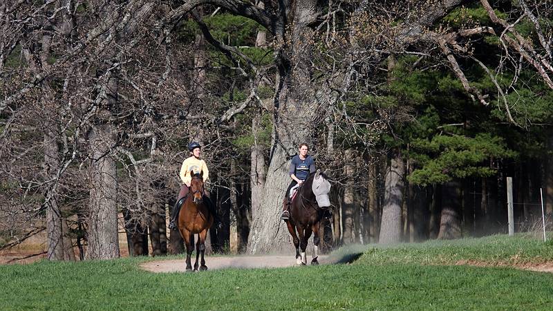 April 14, 2010 - Appleton Farms, Ipswich, Massachusetts.