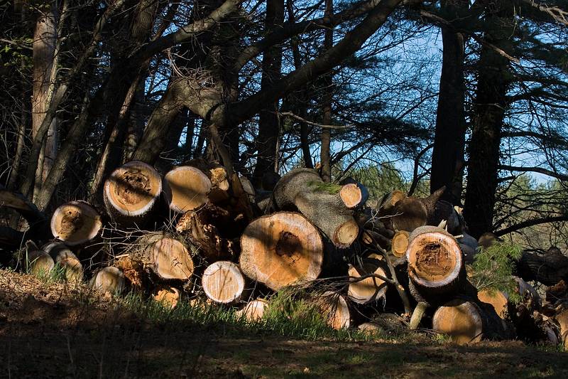 April 14, 2010 - Appleton Farms, Ipswich, Massachusetts.