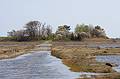 April 21, 2010 - Parker River National Wildlife Refuge, Nelson Island, Rowley, Massachusetts.