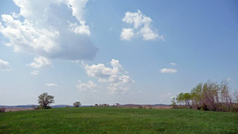 April 22, 2010 - Nelson Island, Parker River National Wildlife Refuge, Rowley, Massachusetts.