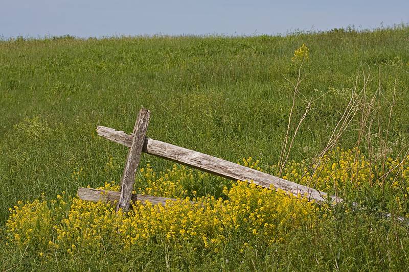 May 17, 2010 - Nelson Island, Parker River National Wildlife Refuge, Rowley, Massachusetts.