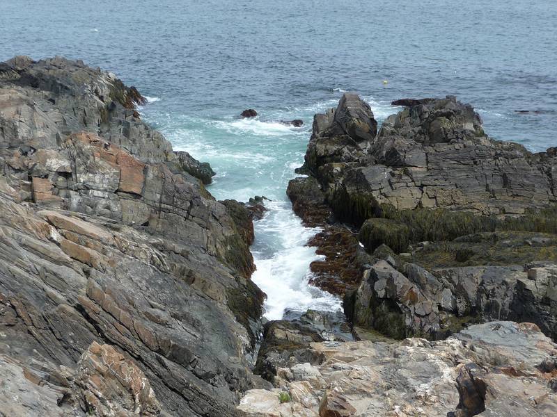 Along the Marginal Way.<br />May 22, 2010 - Ogunquit, Maine.