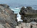 Along the Marginal Way.<br />May 22, 2010 - Ogunquit, Maine.