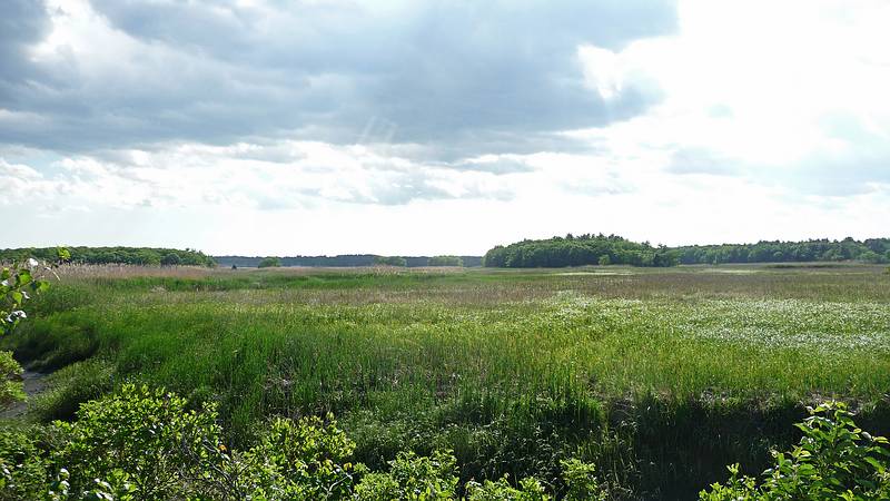 May 27, 2010 - Salisbury, Massachusetts.<br />A walk along the Eastern Marsh Rail Trail.