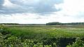 May 27, 2010 - Salisbury, Massachusetts.<br />A walk along the Eastern Marsh Rail Trail.