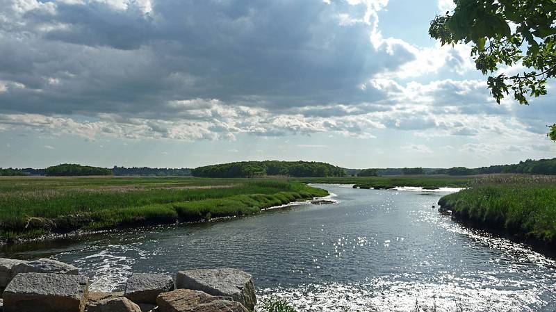 May 27, 2010 - Salisbury, Massachusetts.<br />A walk along the Eastern Marsh Rail Trail.
