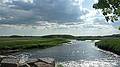 May 27, 2010 - Salisbury, Massachusetts.<br />A walk along the Eastern Marsh Rail Trail.