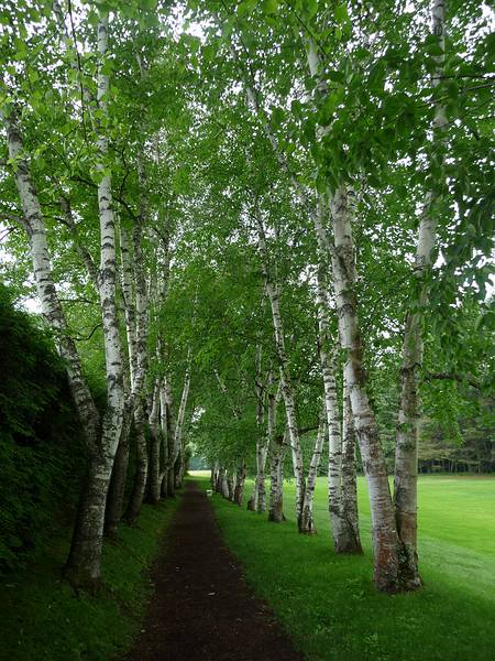 June 1, 2010 - Augustus Saint-Gaudens National Historic Park, Cornish, New Hampshire.