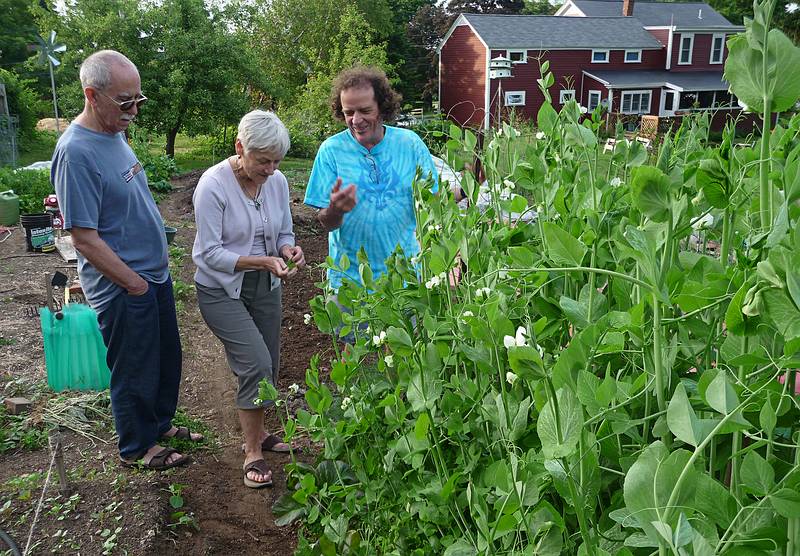 Paul giving Baiba and Ronnie a tour of his vegetable garden.<br />June 4, 2010 - At Paul and Norma's in Tewksbury, Massachusetts.